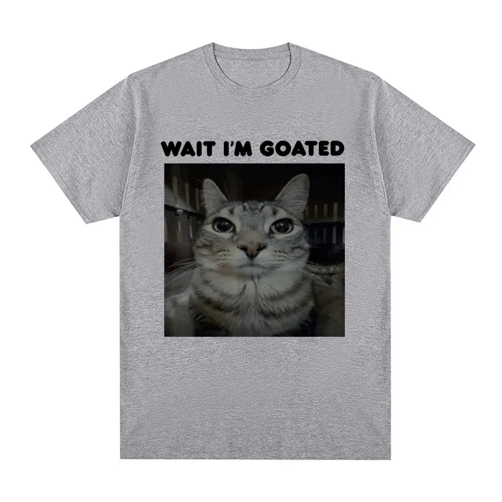 เสื้อยืดลายแมวตลกๆ แบบมีม ผู้ห - Street Fashion Baggy บทวิจารณ์และราคา